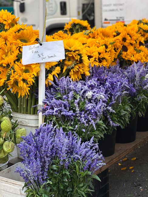 A display of vibrant flower arrangements at Spitalfields Florist, featuring bright yellow sunflowers with numerous large petals and dark centers, alongside clusters of purple lavender with small, dens
